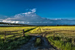 canvas print picture - farm view