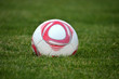 soccer ball on the green