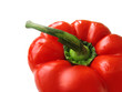 red sweet pepper on a white background