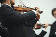 violinist violinist