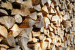 Holzbiege