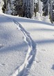 Snowy path in nice sunny winter weather