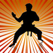 Karateka