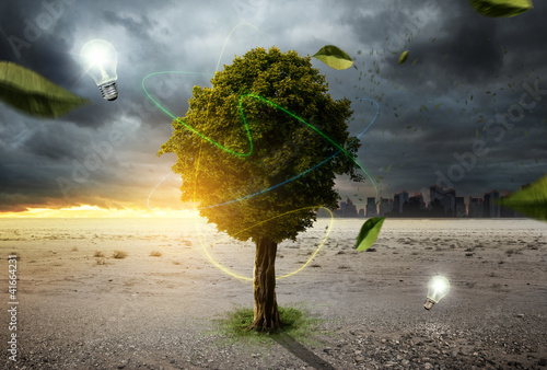 Illustration: Tree of Life Tree of Life