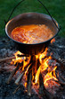 Cooking traditional hungarian paprika potatoes in a cauldron