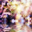 Abstract trees in bloom and sun.Reflection in water. Abstract trees in bloom and sun.Reflection in water.