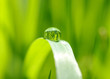 water drops