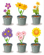 plants