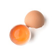 egg