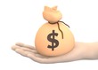 3d render of hand with money bag 3d render of hand with money bag