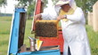 Beekeeper with honeycombs working in apiary Beekeeper with honeycombs working in apiary
