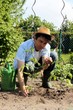 Hobbygärtner mit Strohhut pflanzt Gemüse im Beet