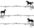 set of vignettes with horses