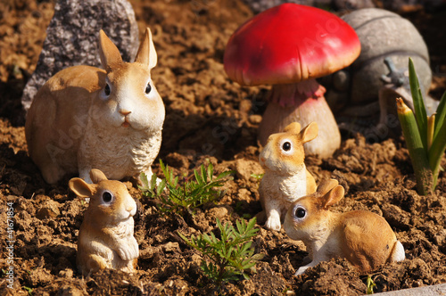 Photo: lapin lapin