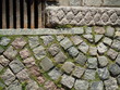 Pavement and grass Pavement and grass