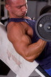 bodybuilder