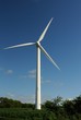 éolienne et verdure éolienne et verdure