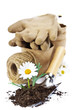 garden tools