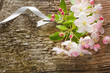 spring flowers on wooden background