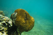 Photo: Diving in Egypt Diving in Egypt