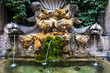 Fountain and moss with pond in Rome, Italy Fountain and moss with pond in Rome, Italy