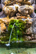 Detail of a pond with moss in Rome, Italy Detail of a pond with moss in Rome, Italy