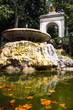 Fountain and pond with leaves in Rome, Italy Fountain and pond with leaves in Rome, Italy