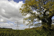 Rural Electricity