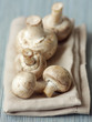 Champignon mushrooms,shallow focus