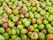 Apple texture Apple texture
