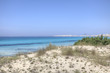 Gallipoli - Salento 2012