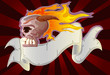 burned skull with grunge ribon
