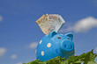 Sparschwein mit Banknoten