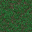 green grass