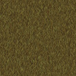grass background