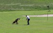 Golfeur