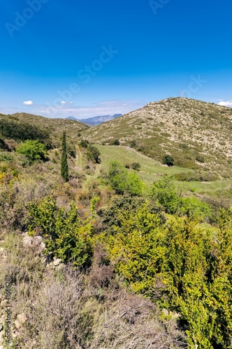Photo: Paysage de Garrigue aride_Garrigue arid landscape. Paysage de Garrigue aride_Garrigue arid landscape.