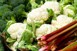 Fresh cauliflowers on the market stand