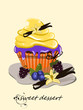 Muffin, Cupcakes mit Heidelbeeren und Vanille