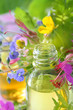 Duft wilder Blüten