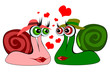 lovers snail white background eps10 vector