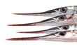 Photo en ligne au meilleur prix The Garfish (Belone belone). Heads.