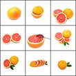 Grapefruit