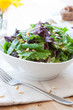 Garden greens salad