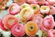 flowers of peon