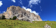 Dolomiti - cows beneath Sassolungo mount