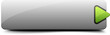 Web button