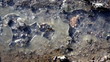 Water Flowing Under Ice
