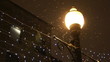 Falling Snow