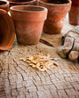 Seeds for planting Seeds for planting